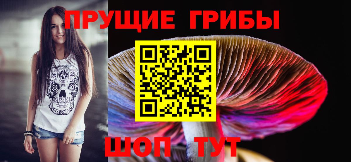 Омск  Галлюциногенные грибы мухоморы  Вход с VPN  Псилоцибиновые грибы Psilocybe 